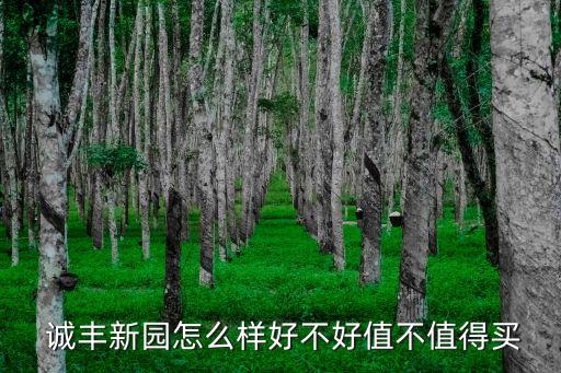  誠(chéng)豐新園怎么樣好不好值不值得買(mǎi)