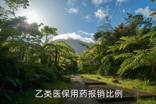  乙類(lèi)醫(yī)保用藥報(bào)銷(xiāo)比例