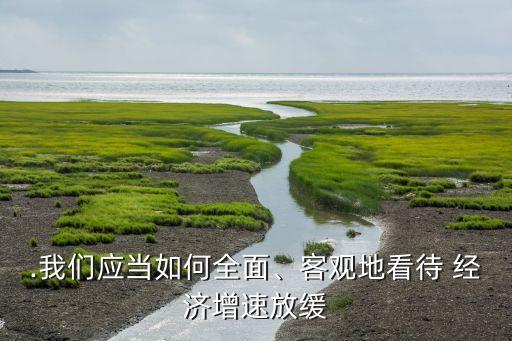 .我們應(yīng)當(dāng)如何全面、客觀地看待 經(jīng)濟(jì)增速放緩