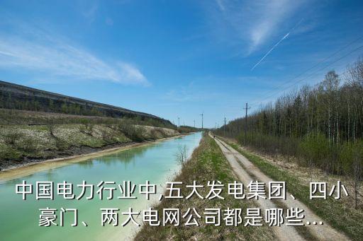 中國電力行業(yè)中,五大發(fā)電集團、四小豪門、兩大電網公司都是哪些...