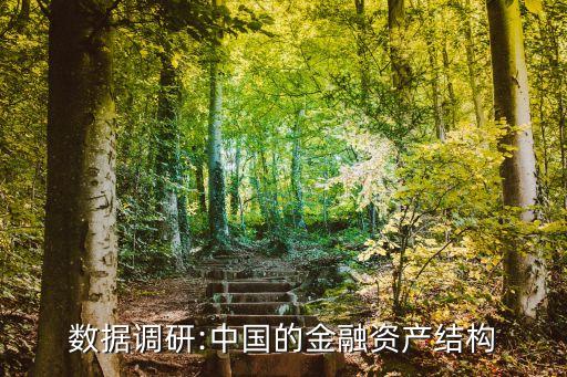 數據調研:中國的金融資產結構