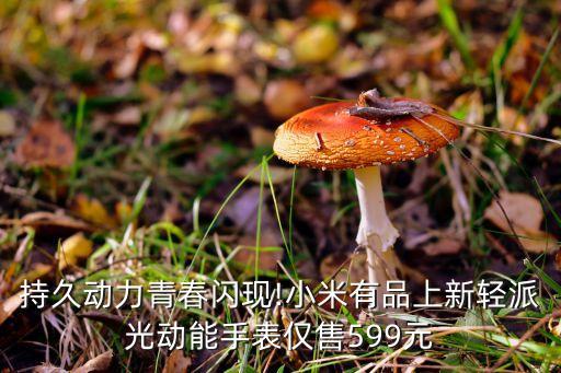 伯恩露笑藍寶石有限公司,內蒙古露笑藍寶石有限公司
