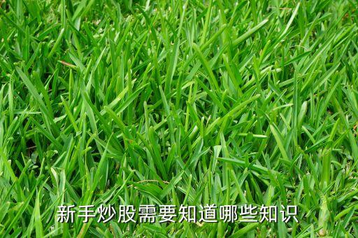 新手炒股需要知道哪些知識(shí)
