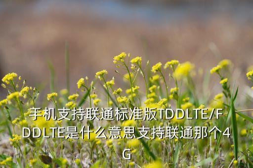 手機(jī)支持聯(lián)通標(biāo)準(zhǔn)版TDDLTE/FDDLTE是什么意思支持聯(lián)通那個(gè)4G