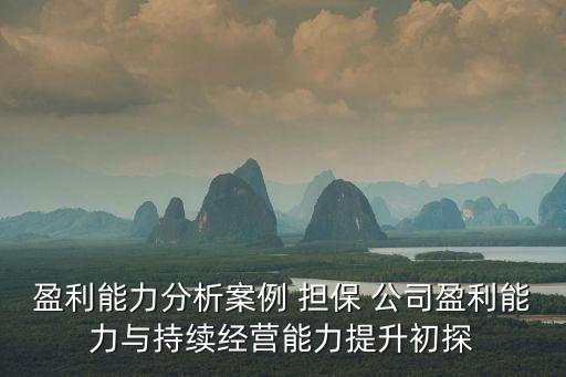盈利能力分析案例 擔(dān)保 公司盈利能力與持續(xù)經(jīng)營能力提升初探