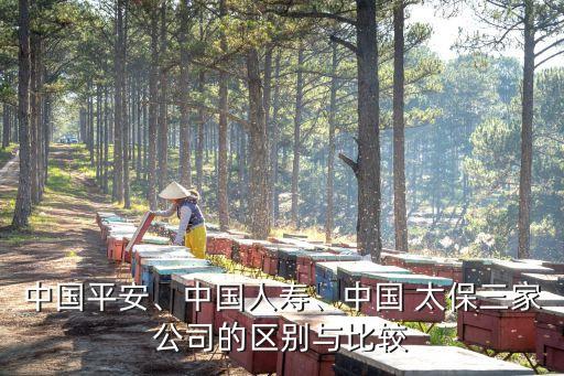 中國平安、中國人壽、中國 太保三家公司的區(qū)別與比較