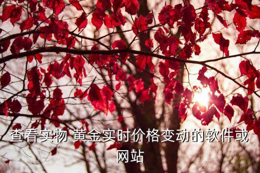 查看實(shí)物 黃金實(shí)時價格變動的軟件或網(wǎng)站