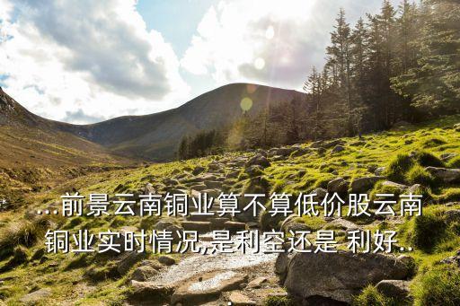 ...前景云南銅業(yè)算不算低價(jià)股云南銅業(yè)實(shí)時情況,是利空還是 利好...