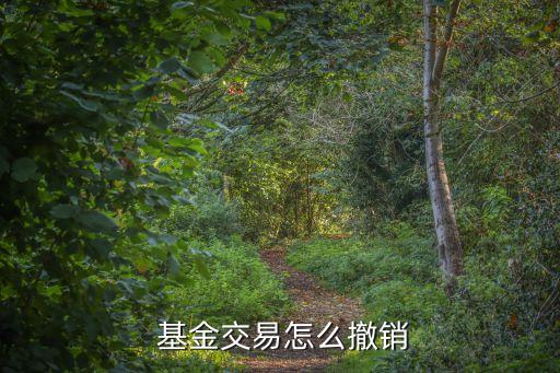  基金交易怎么撤銷(xiāo)