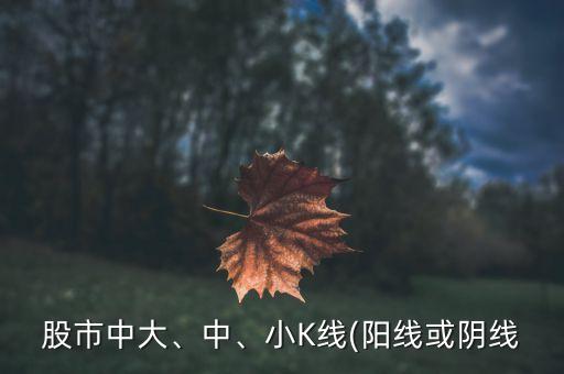 股市中大、中、小K線(陽線或陰線