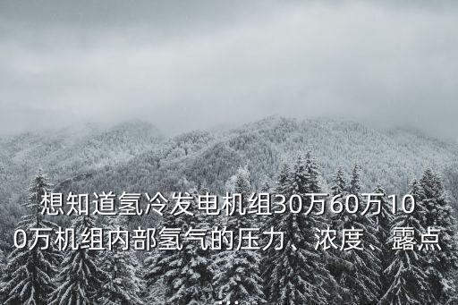 想知道氫冷發(fā)電機(jī)組30萬(wàn)60萬(wàn)100萬(wàn)機(jī)組內(nèi)部氫氣的壓力、濃度、露點(diǎn)...