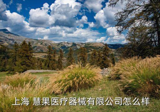 上?；酃悄?上海同果智能科技