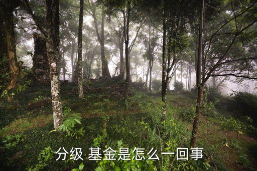  分級 基金是怎么一回事