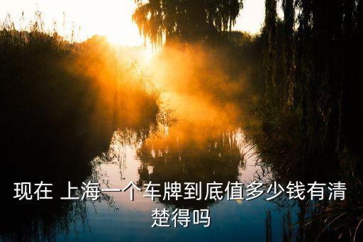 現(xiàn)在 上海一個車牌到底值多少錢有清楚得嗎
