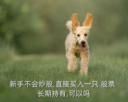 新手不會(huì)炒股,直接買入一只 股票 長期持有,可以嗎