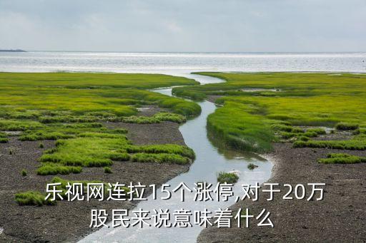  樂視網連拉15個漲停,對于20萬股民來說意味著什么