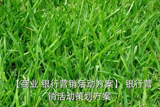 【商業(yè) 銀行營(yíng)銷(xiāo)活動(dòng)方案】 銀行營(yíng)銷(xiāo)活動(dòng)策劃方案