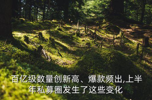  百億級(jí)數(shù)量創(chuàng)新高、爆款頻出,上半年私募圈發(fā)生了這些變化