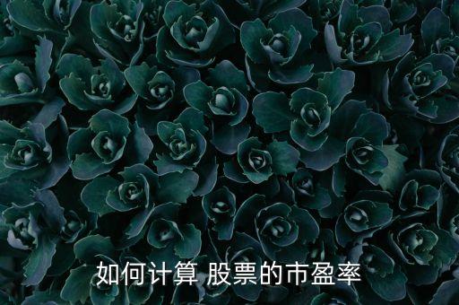 如何計(jì)算 股票的市盈率