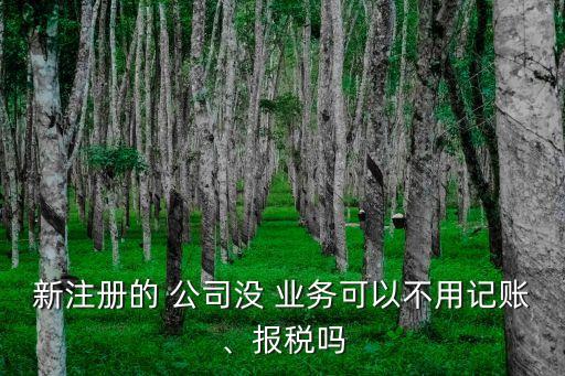 新注冊的 公司沒 業(yè)務(wù)可以不用記賬、報稅嗎