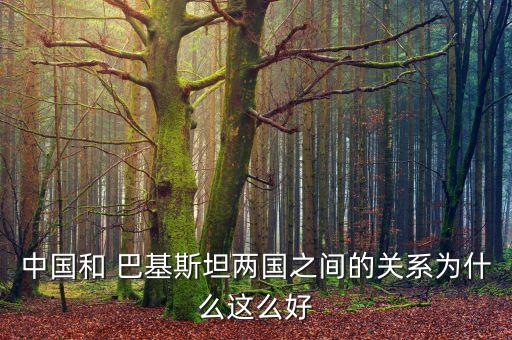 中國(guó)和 巴基斯坦兩國(guó)之間的關(guān)系為什么這么好