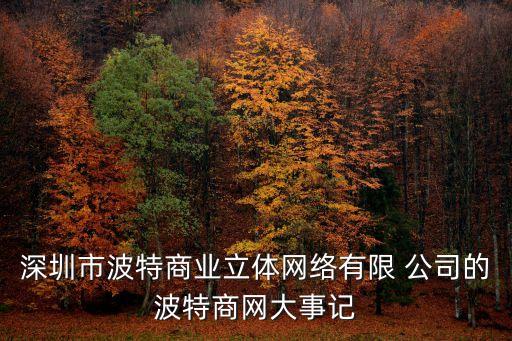 深圳市波特商業(yè)立體網(wǎng)絡有限 公司的波特商網(wǎng)大事記