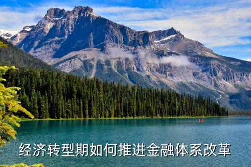 經(jīng)濟轉(zhuǎn)型期如何推進金融體系改革
