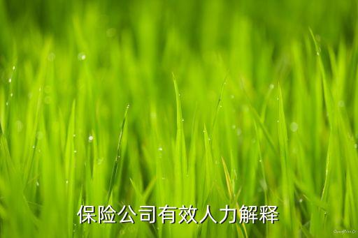 中國人壽發(fā)展下屬