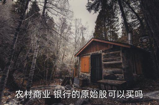 農村商業(yè) 銀行的原始股可以買嗎
