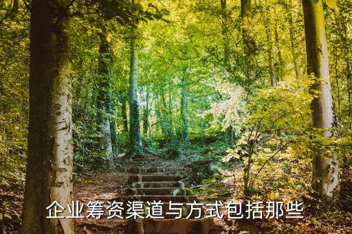 企業(yè)籌資渠道與方式包括那些