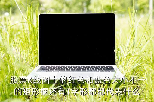  股票K線(xiàn)圖上的紅色和藍(lán)色大小不一的矩形框還有T字形都都代表什么