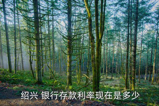 紹興銀行保本理財(cái)產(chǎn)品,現(xiàn)在銀行還有保本理財(cái)產(chǎn)品嗎