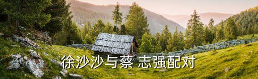 徐沙沙與蔡 志強配對