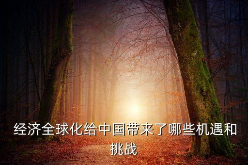  經(jīng)濟(jì)全球化給中國帶來了哪些機(jī)遇和挑戰(zhàn)