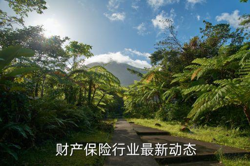  財(cái)產(chǎn)保險行業(yè)最新動態(tài)