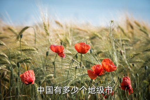 中國有多少個(gè)地級(jí)市