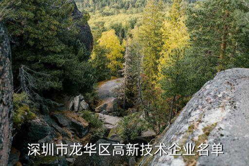  深圳市龍華區(qū)高新技術企業(yè)名單