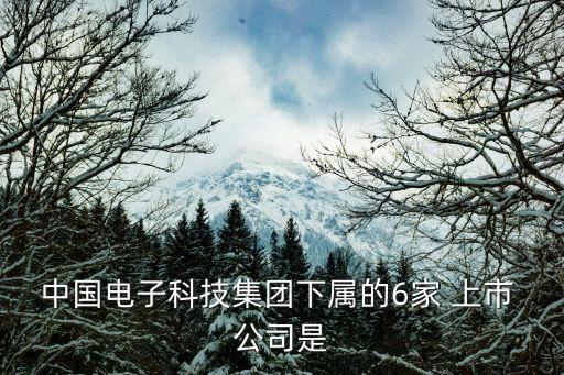 中國電子科技集團(tuán)下屬的6家 上市 公司是