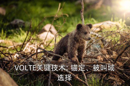 VOLTE關鍵技術: 錨定、被叫域選擇