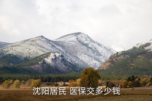  沈陽(yáng)居民 醫(yī)保交多少錢(qián)