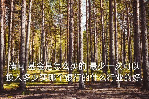 請問 基金是怎么買的 最少一次可以投入多少買哪個(gè)銀行的什么行業(yè)的好...