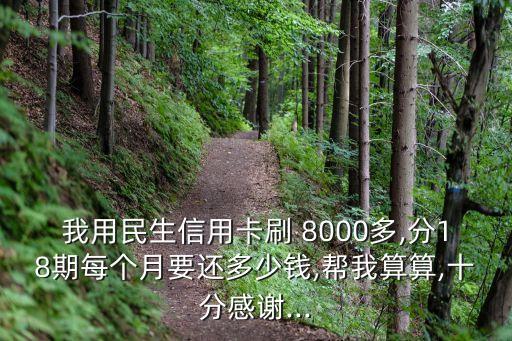 民生銀行預借現(xiàn)金8000