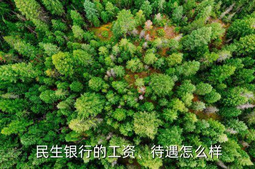  民生銀行的工資、待遇怎么樣