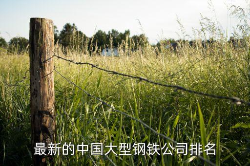最新的中國(guó)大型鋼鐵公司排名