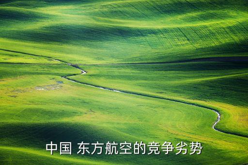 中國 東方航空的競(jìng)爭劣勢(shì)