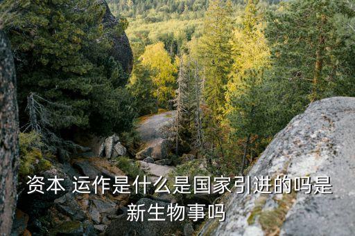  資本 運作是什么是國家引進的嗎是新生物事嗎