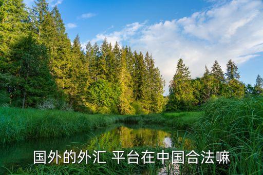 個(gè)人境外投資平臺(tái),中國允許個(gè)人進(jìn)行境外投資嗎