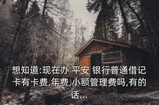 想知道:現(xiàn)在辦 平安 銀行普通借記卡有卡費(fèi),年費(fèi),小額管理費(fèi)嗎,有的話(huà)...