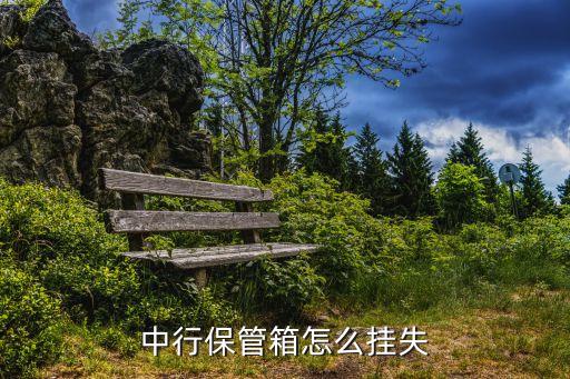 中國銀行保險箱申請,上海中國銀行保險箱網點