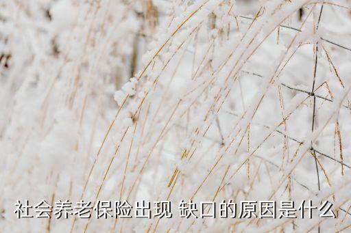 社會養(yǎng)老保險出現 缺口的原因是什么